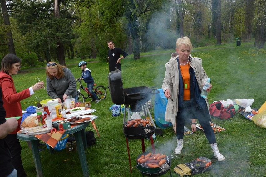 Wrocław: Obywatelski piknik KOD-u w Parku Grabiszyńskim (ZDJĘCIA)