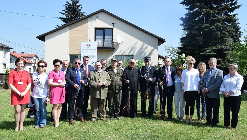 Dęby Pamięci w Radoszycach. To symbol niepodległości i wielowiekowej historii Radoszyc