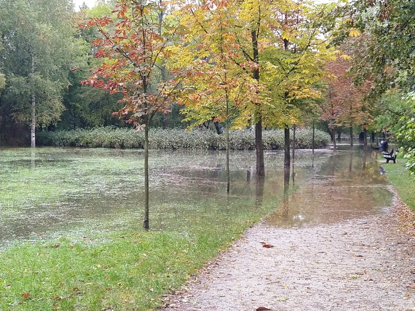Woda, która nie zmieściła się w stawku, zalała park na...