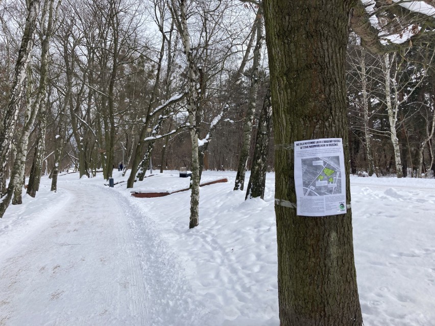 19-metrowe obiekty tuż przy plaży? Społecznicy na „nie”....