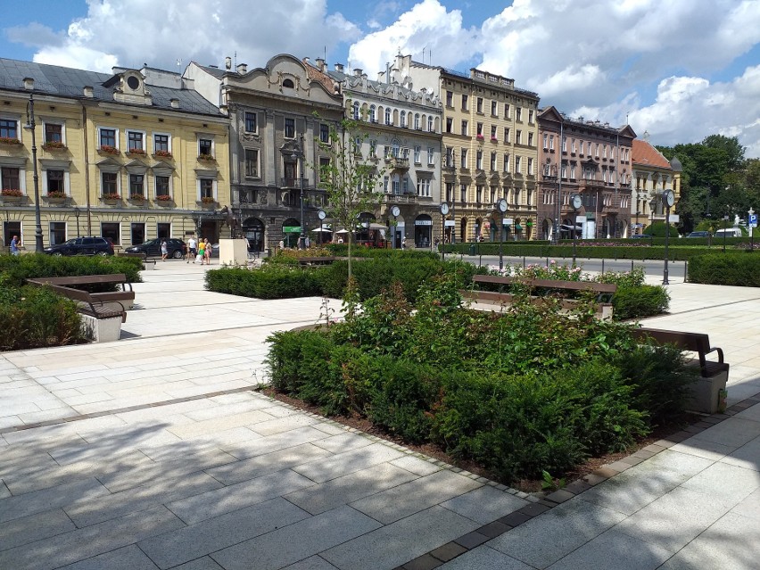 Kraków. Plac Św. Ducha bardziej zielony. Wojewódzka konserwator akceptuje dosadzenie sześciu drzew