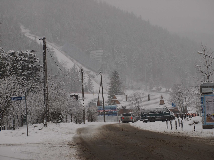 Zakopane znów zrobiło się białe. Cieszą się turyści [ZDJĘCIA]