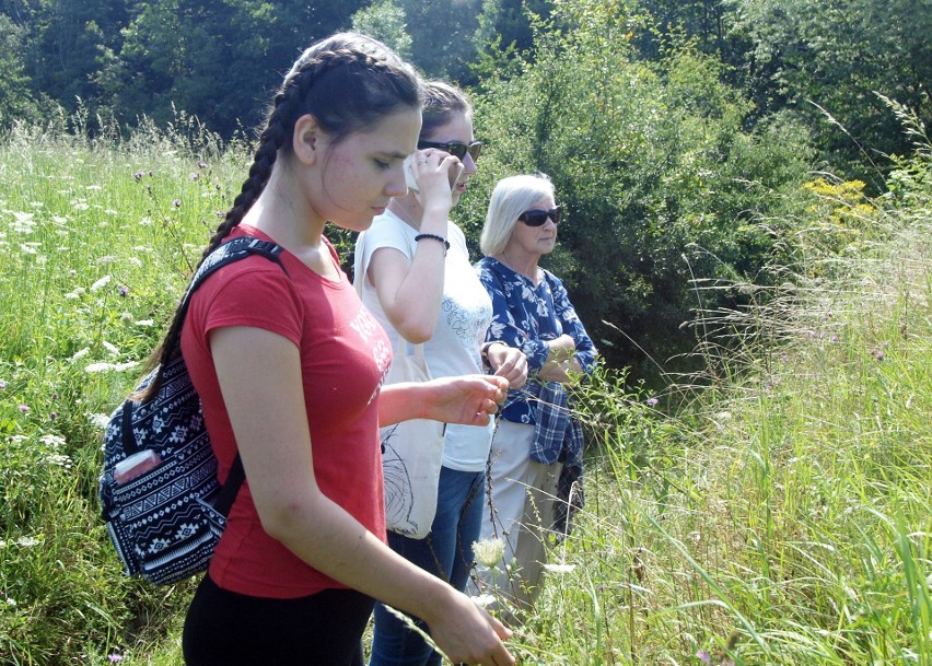 Odkryj Beskid Wyspowy. 28 lipca Kostrza - marsz na zielonego wieloryba [ZDJĘCIA]