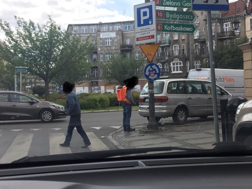 Walczą z chwastami w centrum Szczecina. Mieszkańcy się martwią, ZDiTM uspokaja