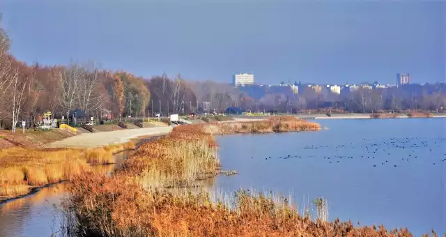 Jezioro Tarnobrzeskie powstało w wyniku zalania wodą wyrobiska po odkrywkowej kopalni siarki.