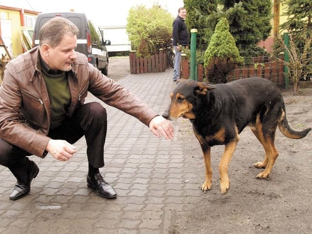 &#8211; Nie wiem, czy przystąpię do tego nowego konkursu. Za darmo przecież trzymać takich psów nie mogę &#8211; mówi Jerzy Harłacz, szef Stowarzyszenia Animals w Białogardzie. 