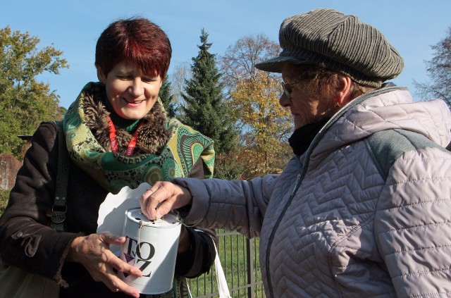 Już w przeddzień Wszystkich Świętych kwestarze zbierali datki do puszek na renowację zabytkowych nagrobków na największym cmentarzu w Grudziądzu.