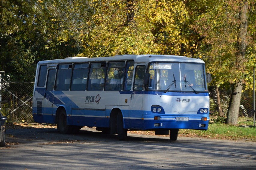 Od stycznia więcej połączeń autobusowych w Łódzkiem. Zobacz, dokąd będzie można dojechać autobusami dotowanymi przez rząd PiS.