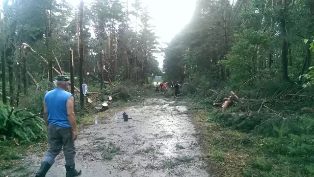 Spustoszenie jakie wywołała nocna nawałnica z niedzieli na poniedziałek na drodze Łosienek-Jeżynów w gminie Piekoszów w powiecie kieleckim.