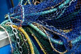 Morze Bałtyckie jest zaśmiecone tonami plastiku! Teraz z wyłowionych tam sieci rybackich powstają rajstopy