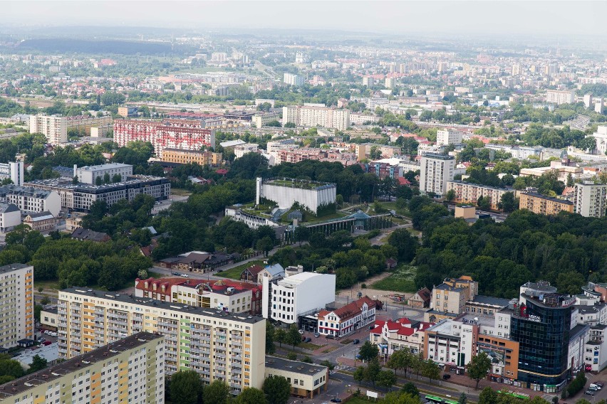 W 2022 roku na terenie Białymstoku stwierdzono 3 404...