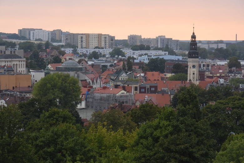 W urzędzie miasta w Zielonej Górze trwa kontrola poselska