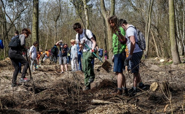 Mieszkańcy Gdańska wspólnie posadzili las komunalny w Pasie Nadmorskim i parku Reagana [22.04.2018]