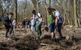 Sadzenia lasu w Pasie Nadmorskim i parku Reagana w Gdańsku. Mieszkańcy wspólnie posadzili 2500 drzew [zdjęcia]