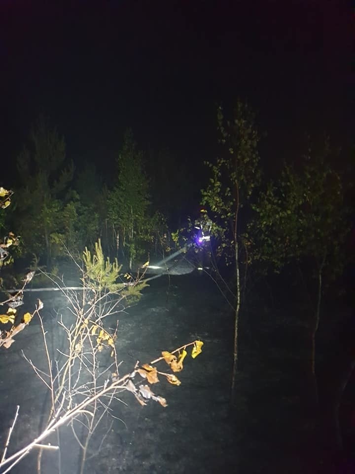 Pożar lasu w Herbach i Kalinie 20 - 21.07.2019.