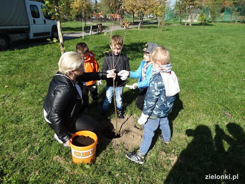 Półdziki skwer w Zielonkach pod lupą najmłodszych odkrywców przyrody