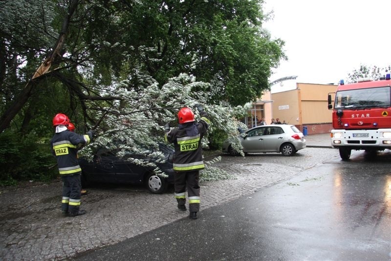 Drzewo spadlo na auto przy ulicy Dambonia.