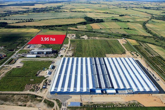 Aspöck Automotive Polska wybuduje fabrykę w Ligocie DolnejKluczborska podstrefa ekonomiczna WSSE jest już prawie zapełniona. Zostały tu dwie działki (zaznaczone na czerwono), o pow. niespełna 4 ha.