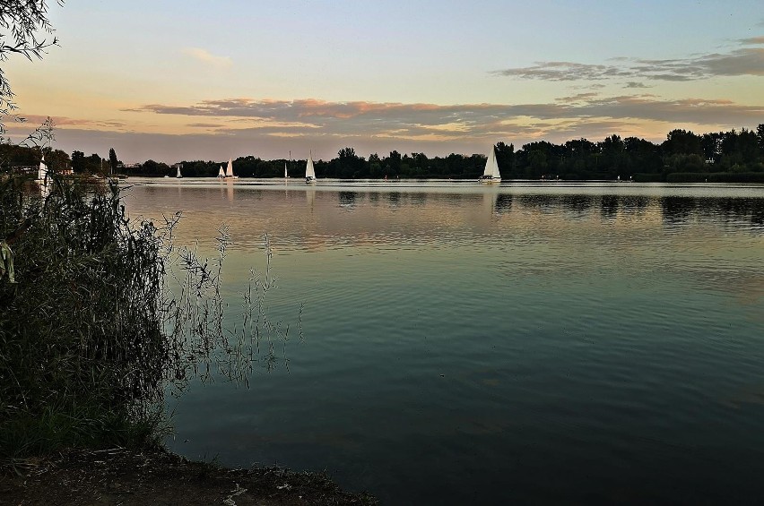 Kraków. Bagry o zachodzie słońca zachwycają [ZDJĘCIA]