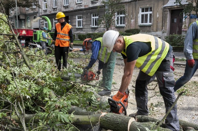 Na ul. Wolności trwa wycinka drzew.