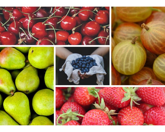 Przepisy na najpopularniejsze dania i napoje z owocami sezonowymi. Co warto przygotować? Sprawdź!