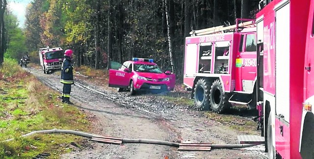 W lesie niedaleko miejscowości Bryzgów w gminie Borkowice strażacy z państwowej jednostki i drużyny OSP z całego powiatu przećwiczyli akcję gaszenia lasu, gdyby doszło do pożaru.