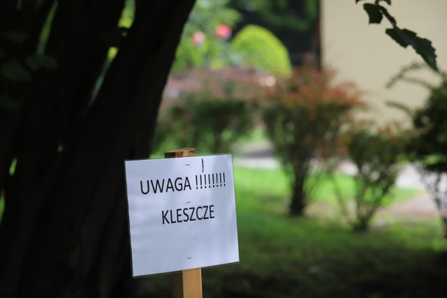 Kleszcze afrykańskie przenoszą wirusa wywołującego gorączkę krwotoczną krymsko-kongijską