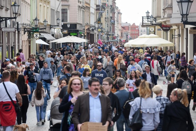 Jest praca dla rachmistrzów w Toruniu