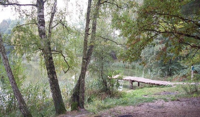 Jezioro w Bartoszewie.