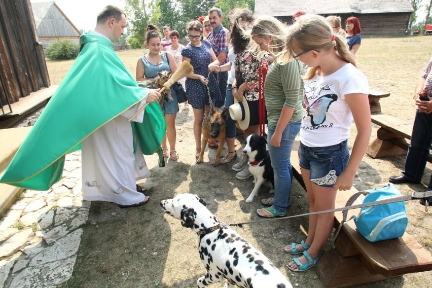 Dzień Świętego Franciszka w Tokarni