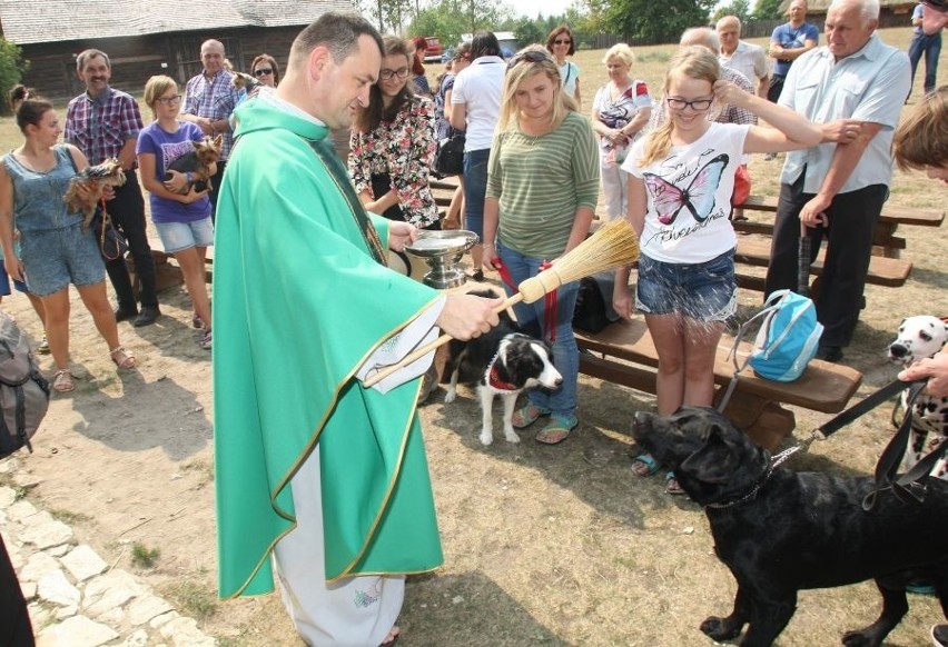 Dzień Świętego Franciszka w Tokarni