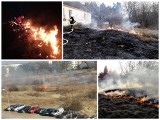 Mamy marzec, a pożary traw w Lubuskiem to już prawdziwa plaga. Strażacy gasili je ponad 380 razy! Większość pożarów to robota podpalaczy