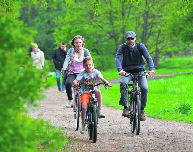 We wszystkich parkach w Łodzi można jeździć na rowerze i spacerować z pieskami.