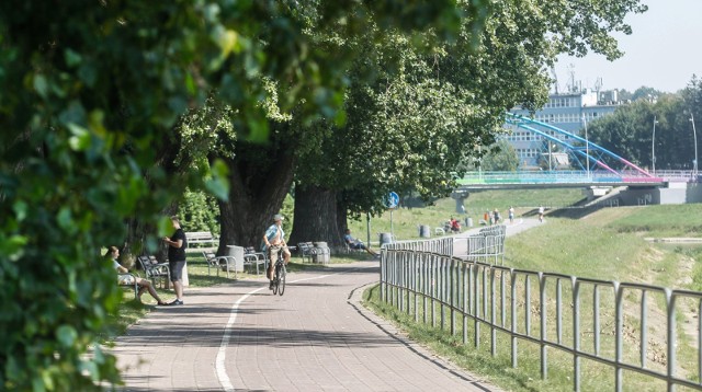 Miasto zapowiada, że jeszcze w tym roku zostanie oświetlona trasa rowerowa na Olszynkach. Lisia Góra musi zaczekać na latarnie nieco dłużej.