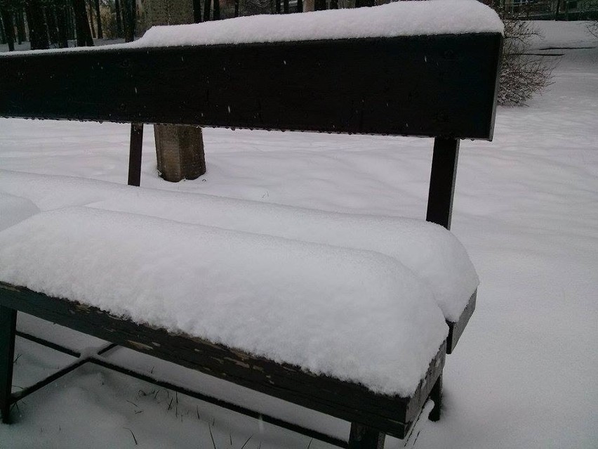 Od wczoraj w Olkuszu w Małopolsce spadło 20 cm śniegu i...