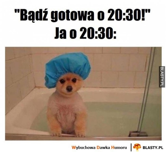 Memy ze zwierzętami w roli głównej. Rozśmieszą Cię do łez 31.05.2021 | Głos  Koszaliński