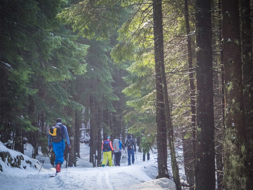 Tatry. Skitourowy raj w górach. Łapią każdy dzień pogody [ZDJĘCIA]