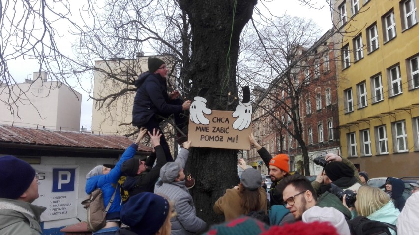 22.02.2020 r. Protest przeciw wycince kasztanowców w...