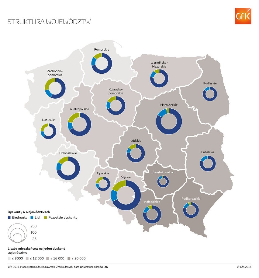 Gdzie jest najwięcej dyskontów? W czołówce Ostrołęka