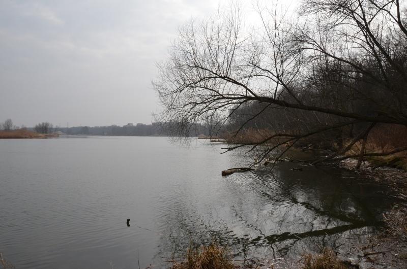 Wrocław: W Odrze na Kozanowie znaleziono ciało młodego mężczyzny. Kim jest? (ZDJĘCIA)