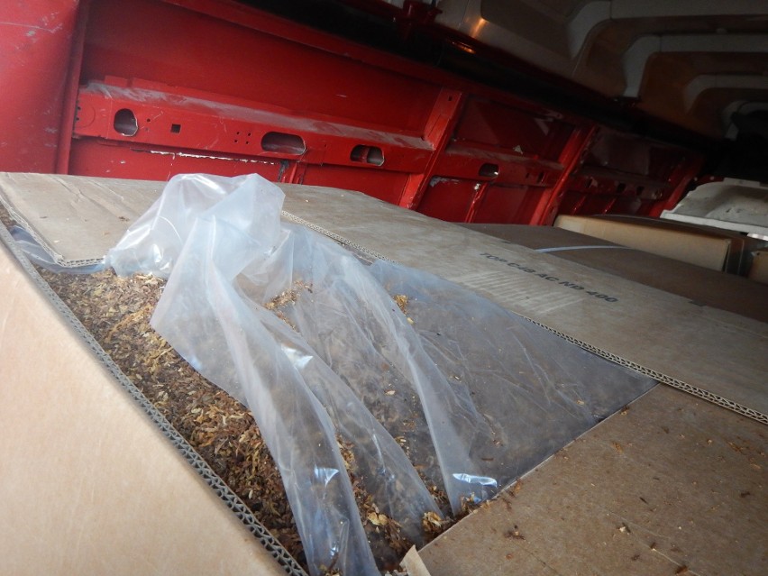 Wewnątrz pojazdu znaleziono 1630 kg krajanki tytoniowej....