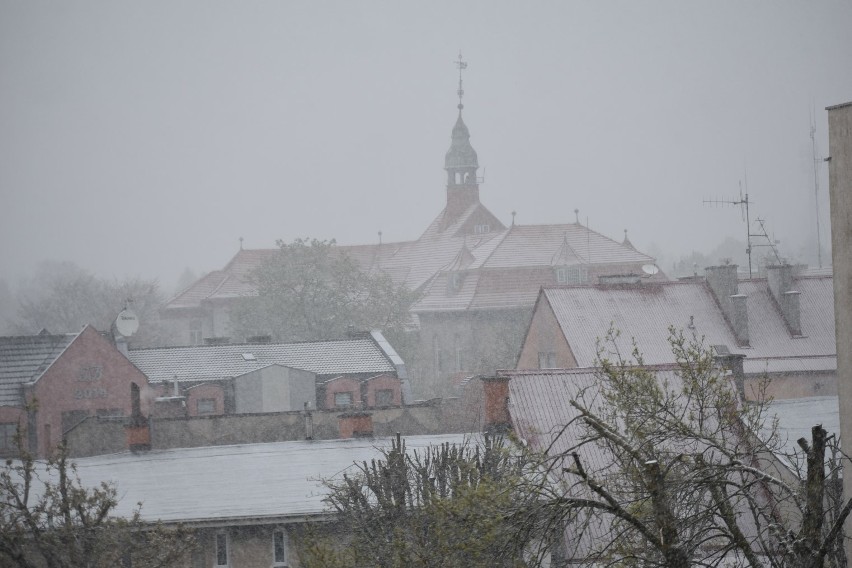Atak zimy w Sławnie - 22.04.2024 r.