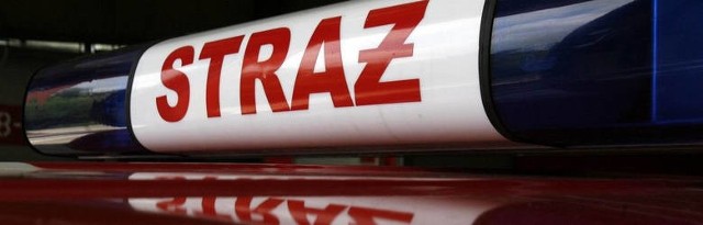 Pracownicy hali ugasili samochód przez przyjazdem straży pożarnej