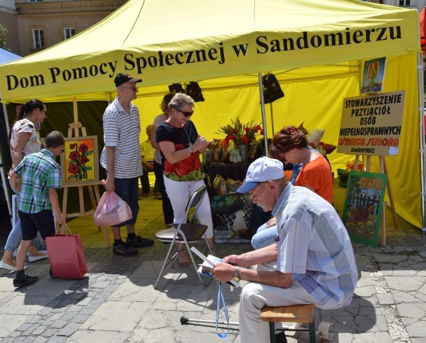 Festiwal organizacji społecznych oraz piknik dla rodzin w Sandomierzu
