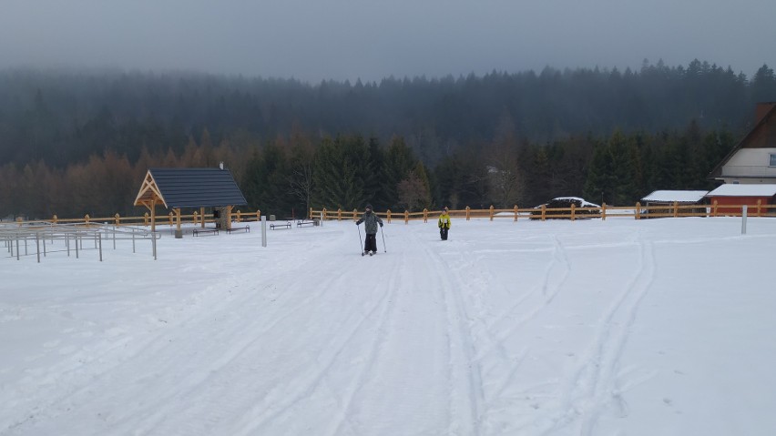 Szukajcie miejsca na narty - przyjedźcie w Beskid Niski. Góry może niewysokie, ale śniegu trochę jest i można poszusować ZDJĘCIA