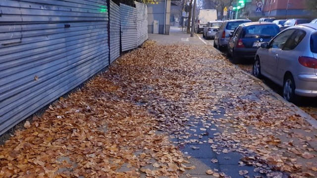 Tak wyglądał chodnik przy ul. Świętego Jerzego. Na szczęście w tym przypadku wystarczyła rozmowa, aby właściciel uprzątnął liście.