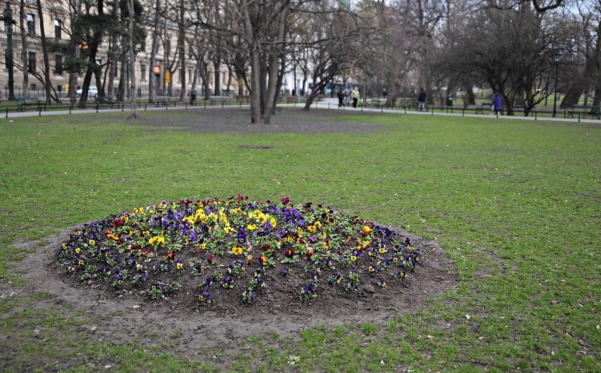 Planty to symbol i wizytówka Krakowa już od blisko 200 lat....