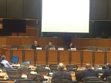 Śląski głos ponownie w Parlamencie Europejskim WIDEO