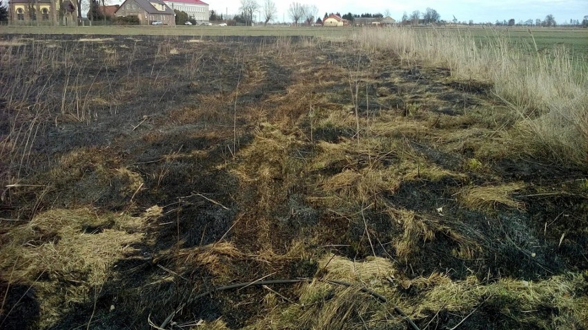 Ten pożar wybuchł 28 lutego w miejscowości Lubczyno....