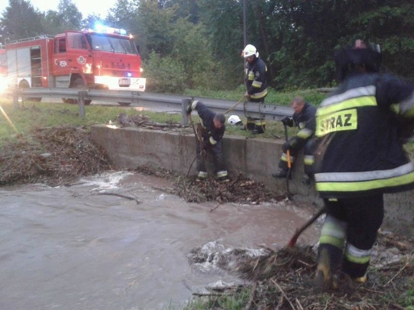 Akcja strażaków w Dołach Biskupich w gminie Kunów